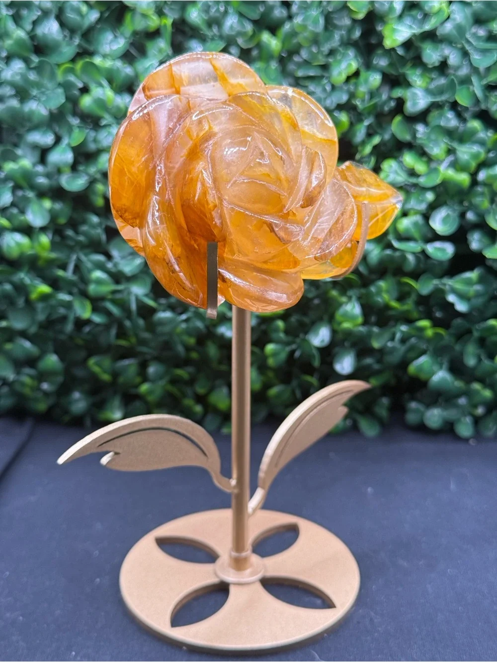Beautiful Golden Healer Flower on Stand